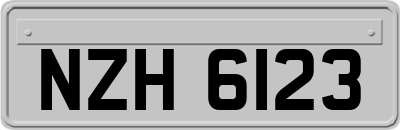 NZH6123