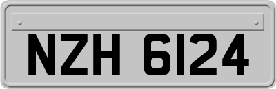 NZH6124