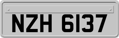 NZH6137