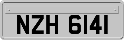 NZH6141