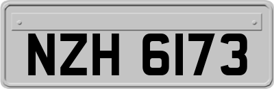 NZH6173