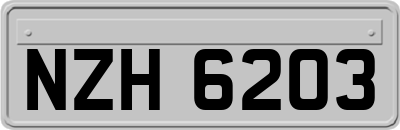 NZH6203