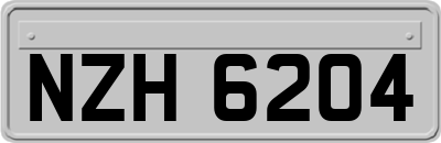 NZH6204