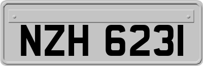 NZH6231