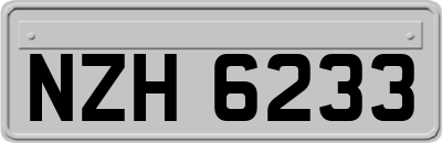 NZH6233
