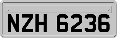 NZH6236