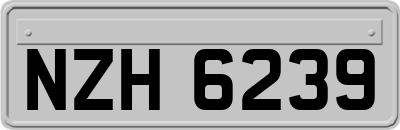NZH6239