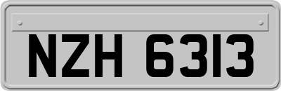 NZH6313