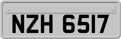 NZH6517