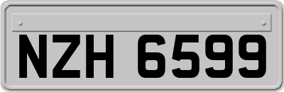 NZH6599