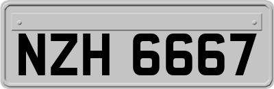 NZH6667