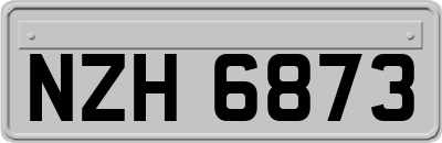 NZH6873