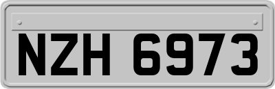 NZH6973