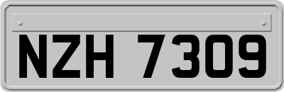 NZH7309