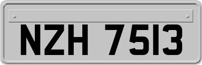 NZH7513