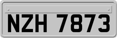 NZH7873