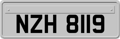 NZH8119