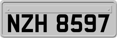 NZH8597