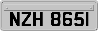 NZH8651