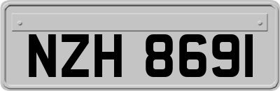 NZH8691