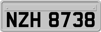 NZH8738