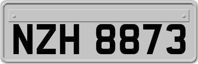NZH8873