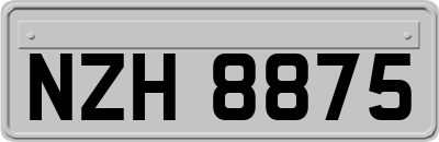 NZH8875