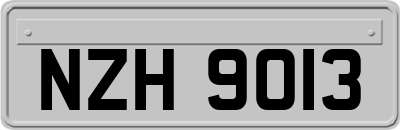 NZH9013