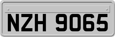 NZH9065