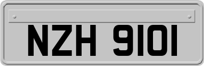 NZH9101