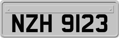 NZH9123