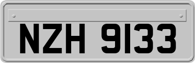 NZH9133