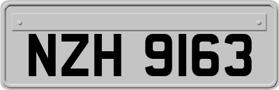 NZH9163