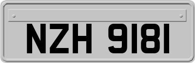 NZH9181
