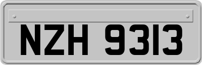 NZH9313
