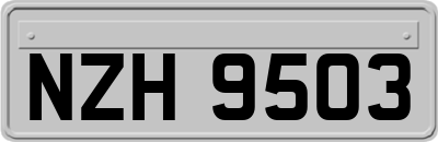 NZH9503