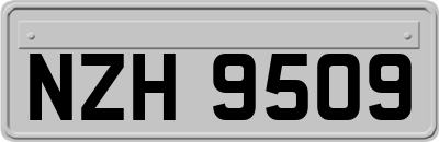 NZH9509