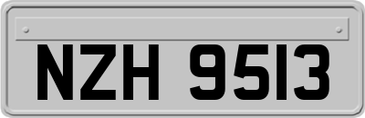 NZH9513