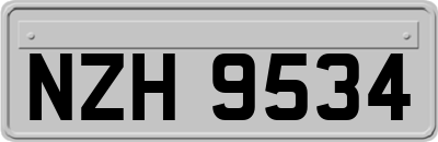 NZH9534
