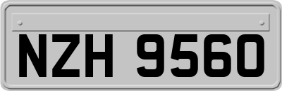NZH9560