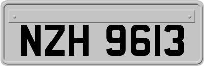 NZH9613