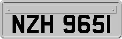 NZH9651