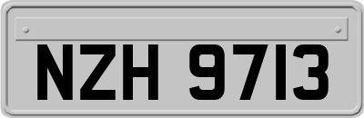 NZH9713