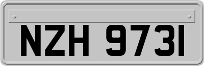 NZH9731