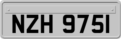 NZH9751