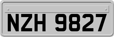 NZH9827