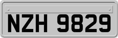 NZH9829