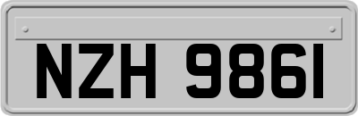 NZH9861
