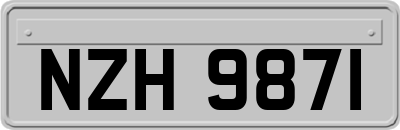 NZH9871