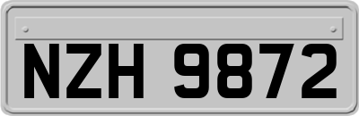 NZH9872